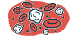 White blood cells are shown amid red blood cells in a close-up illustration.