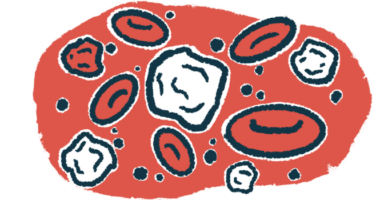 White blood cells are shown amid red blood cells in a close-up illustration.