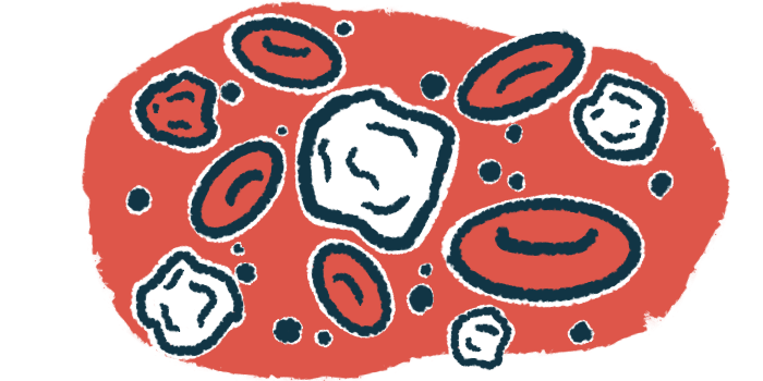 White blood cells are shown in this illustration.